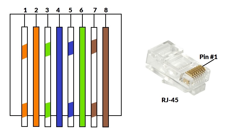 Zdjęcie zaciskanego kabla RJ45